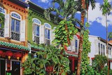 Singapore Shophouses-Nathalie LAOUE